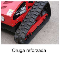 Pintecord Cortacesped A Control Remoto