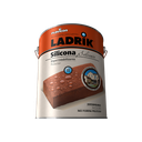 Ladrik Impermeabilizante P/ Ladrillo Silicona Solvente