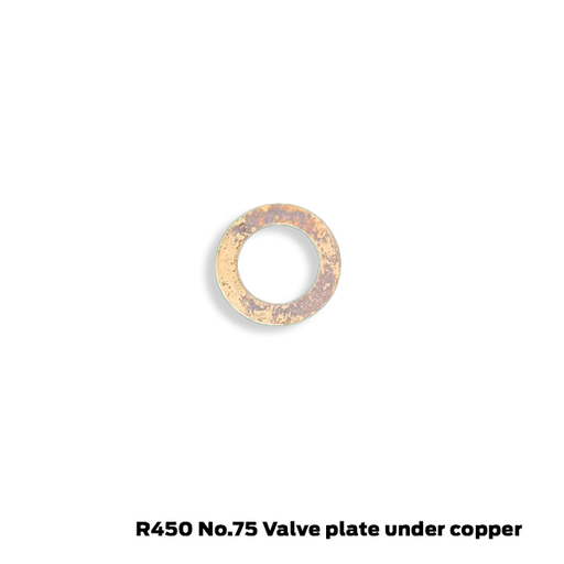 [256124] Aeropro / X-Treme R450 Repuesto Placa Valvula debajo de Junta de Cobre N.75