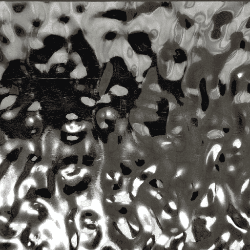 [256206] Revestimientos Pintecord BPC Agua 1.22X2.6M 5MM