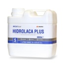 Anclafloor Hidrolaca Plus